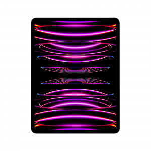 Apple 12.9-inch iPad Pro (6 gen.) Wi-Fi 1TB Space Grey