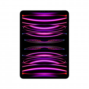 Apple 11-inch iPad Pro (4 gen.) Wi-Fi 2TB Space Grey
