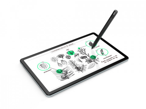 Lenovo Tab M10 Plus (3rd Gen), 10.61" 2K IPS 4/128GB 4G LTE Android, Storm Grey - Galeria zdjęcie 7