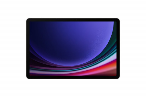 Tablet Samsung Galaxy Tab S9 (X710) 11" 8/128GB WiFi Graphite - Galeria zdjęcie 2