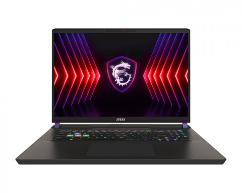 MSI Vector 17 HX A14VHG-1007PL i9-14900HX 17" QHD+ 240Hz IPS-level panel 32GB DDR5 SSD1TB RTX 4080 12GB W11 - Galeria zdjęcie 1