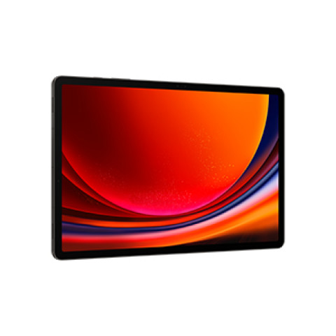 Tablet Samsung Galaxy Tab S9+ (X810) 256GB WiFi Gray - Galeria zdjęcie 4