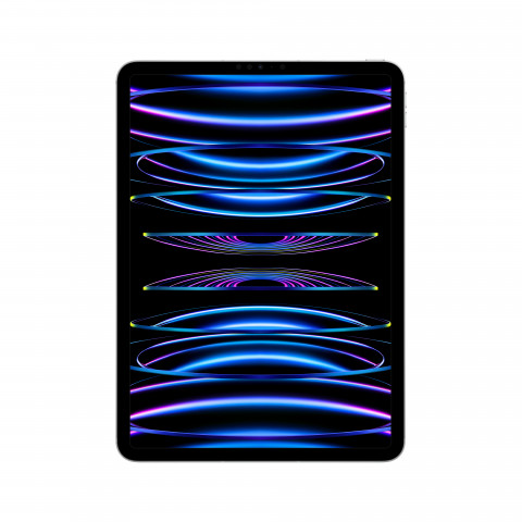 Apple 11-inch iPad Pro (4 gen.) Wi-FI + LTE 2TB Silver - Galeria zdjęcie 1
