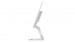 Lenovo L27h-4A 27"WQHD 100Hz 350nits AG HDMI, DP, USB Cloud Grey - Galeria zdjęcie 5