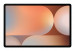 Samsung Galaxy Tab S10+ (X820) WiFi 12/256GB Silver - Galeria zdjęcie 2
