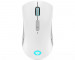 LENOVO ACC  Legion M600 Mice Stingray GY51C96033 - Galeria zdjęcie 2