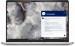 Dell Pro 16 Plus PB16250 Ultra 7 266V 16.0"FHD+ IPS 300nits 60Hz Matt 16GB DDR5 SSD512 Arc Graphics 140V FPR & SMTCD FHD IR Cam Mic BACKLIT KB 3CELL W11Pro 3Y Pro Support - Galeria zdjęcie 1