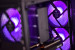 Komputer Actina PB ENDORFY 14400F/16GB/1TB/RTX4060TI/600W - Galeria zdjęcie 15