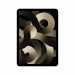 Apple 10.9-inch iPad Air (5 gen.) Wi-FI + LTE 256GB Starlight - Galeria zdjęcie 1